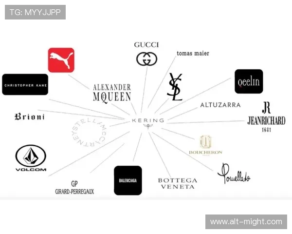 深入了解开云集团有限公司官网，奢侈品牌背后的商业模型解析